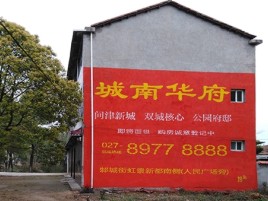 广水百分之90的人都不了解的农村墙体广告