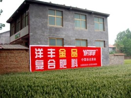 广水如何让墙体广告展现最大化效果