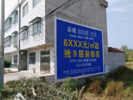 广水墙体广告质量分析
