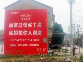 广水墙体广告在乡镇、农村市场的媒体优势