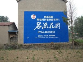 广水农村墙体广告的长尾效应