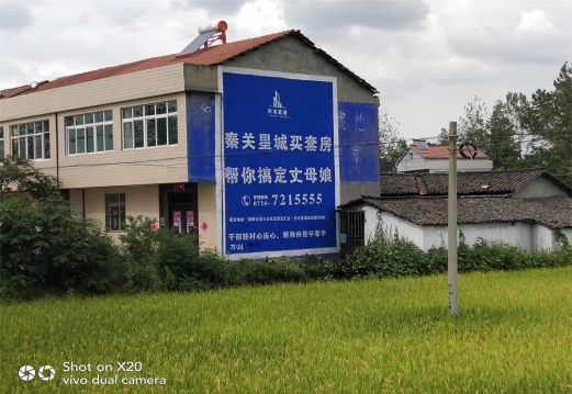 广水决定墙体广告价格的因素有哪些?