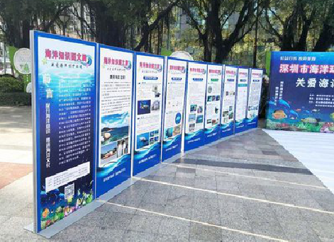 广水KT板的种类和知识。